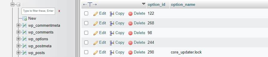 删除core_updater.lock行