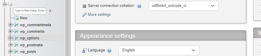 在cPanel中访问wp_options