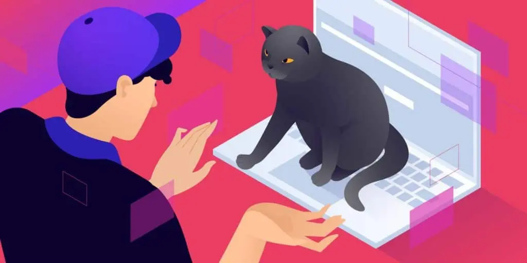 如何修复MAMP本地环境phpMyAdmin不工作错误