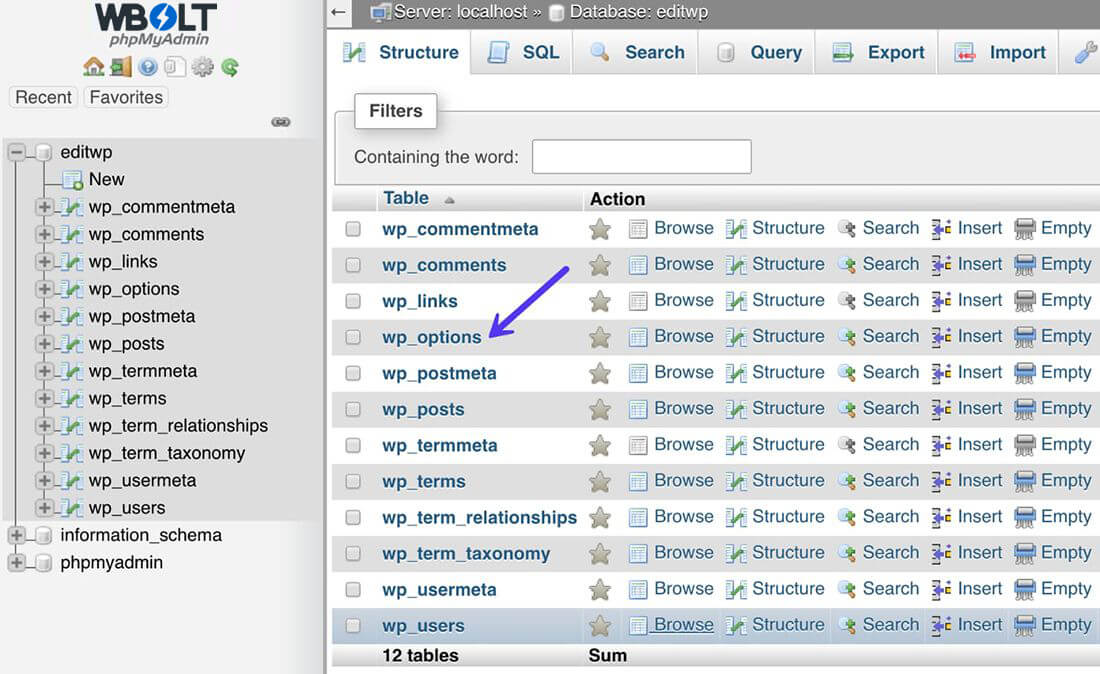 WordPress数据库中的wp_options表 WordPress数据库中的wp_options表