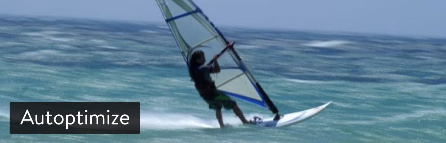 WordPress插件Autoptimize WordPress插件Autoptimize