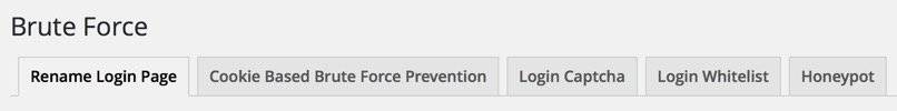 蛮力攻击预防选项