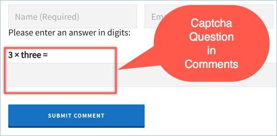 评论表单中的验证码问题