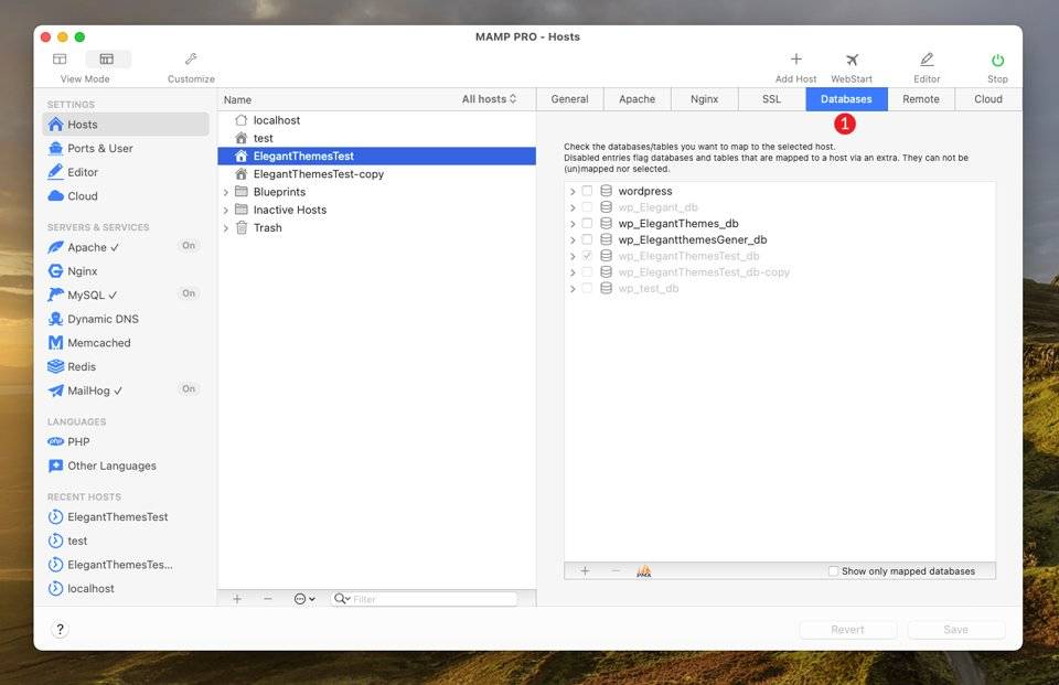 数据库设置窗口