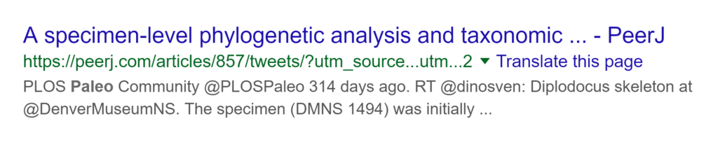 dynamic-urls-are-ugly-and-confusing-to-users