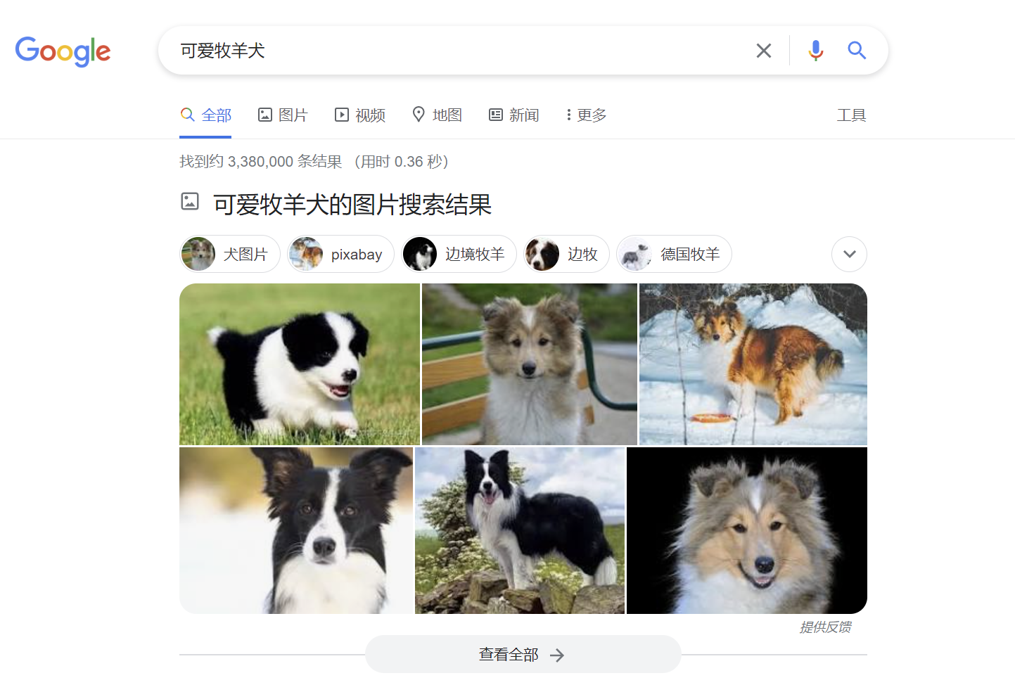谷歌搜索结果图片库示例