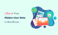 如何查找挖掘WordPress隐藏的用户数据