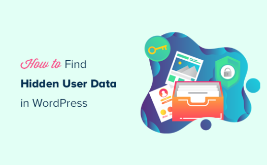 如何查找挖掘WordPress隐藏的用户数据