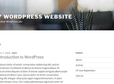 WordPress网站自定义首页教程