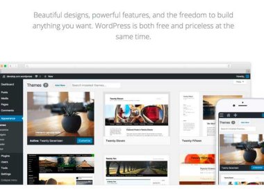 什么是WordPress主题及如何挑选一款好主题
