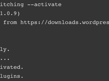 什么是及如何使用WordPress CLI