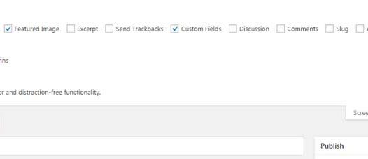 如何为WordPress文章添加自定义字段