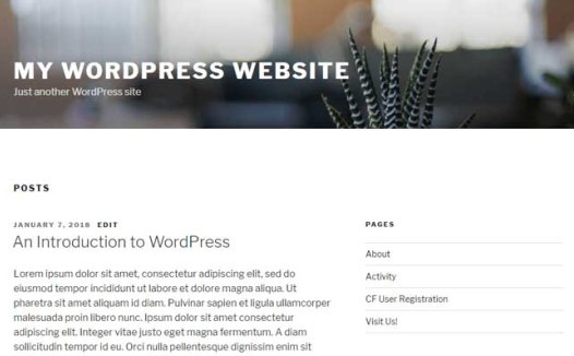 WordPress网站自定义首页教程