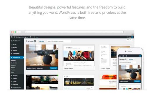 什么是WordPress主题及如何挑选一款好主题
