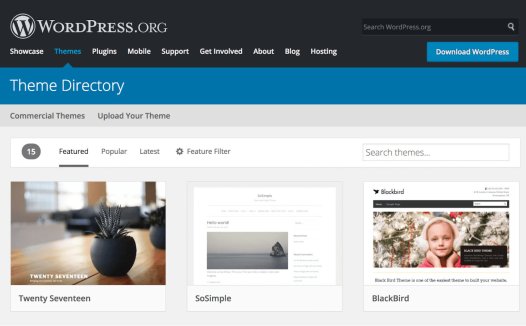 WordPress主题开发入门基础教程