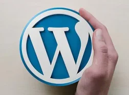 The7 9.40,WordPress汉化主题带秘钥，内附安装教程，支持上百页面模板