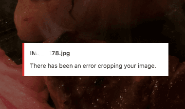 如何解决WordPress在裁剪您的图像时发生了错误