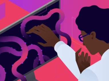 使用MAMP时如何修复“此站点无法提供安全连接”错误