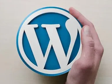 The7 9.40,WordPress汉化主题带秘钥，内附安装教程，支持上百页面模板