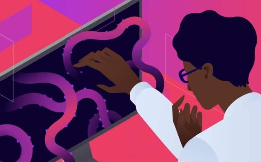 使用MAMP时如何修复“此站点无法提供安全连接”错误