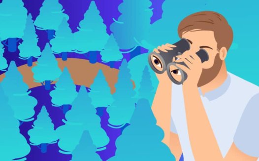 如何执行WordPress数据库搜索和替换