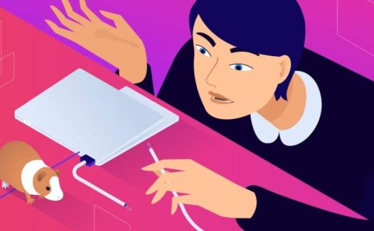 如何解决MAMP本地开发环境“Localhost Refused to Connect”错误