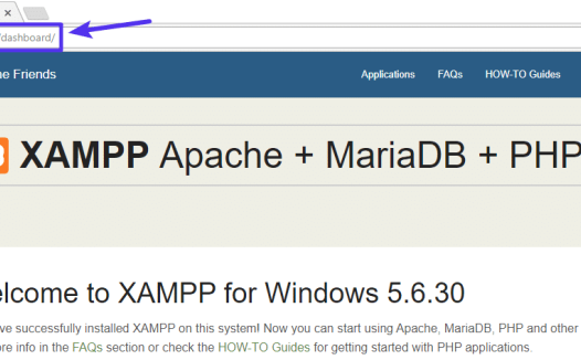 什么是Localhost？以及它如何应用于WordPress？