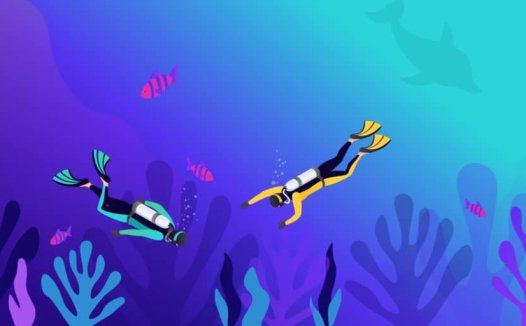 WordPress用户角色和权限的终极指南