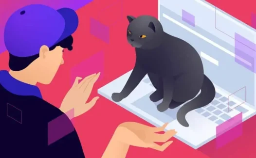 如何修复MAMP本地环境phpMyAdmin不工作错误