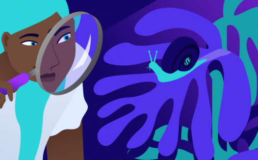 为什么WordPress慢?让我们弄清楚问题的根源!