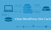 如何清除WordPress网站缓存