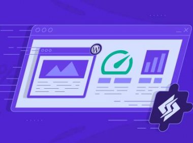 使用LiteSpeed缓存插件将WordPress优化到极致