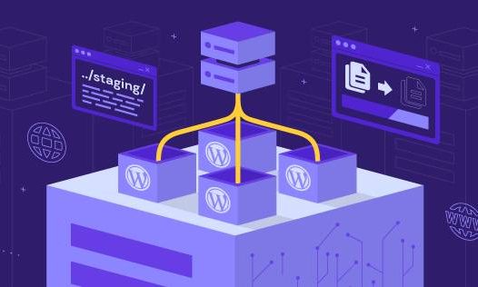 WordPress预发布环境初学者指南