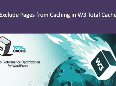 从W3 Total Cache插件缓存中排除页面和目录