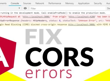 如何修复WordPress中的CORS错误？