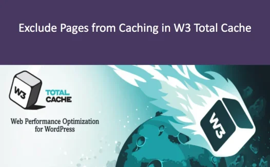 从W3 Total Cache插件缓存中排除页面和目录