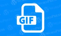 如何解决WordPress网站GIF图片不播放问题