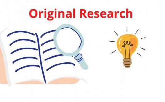 原创研究和数据分析