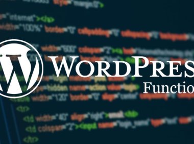 最常见的WordPress函数