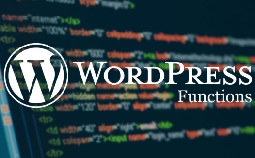 最常见的WordPress函数
