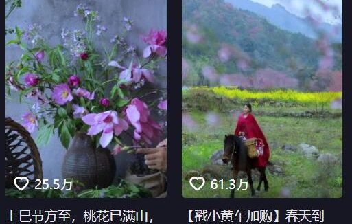 荐李子柒要回来了,然后呢?